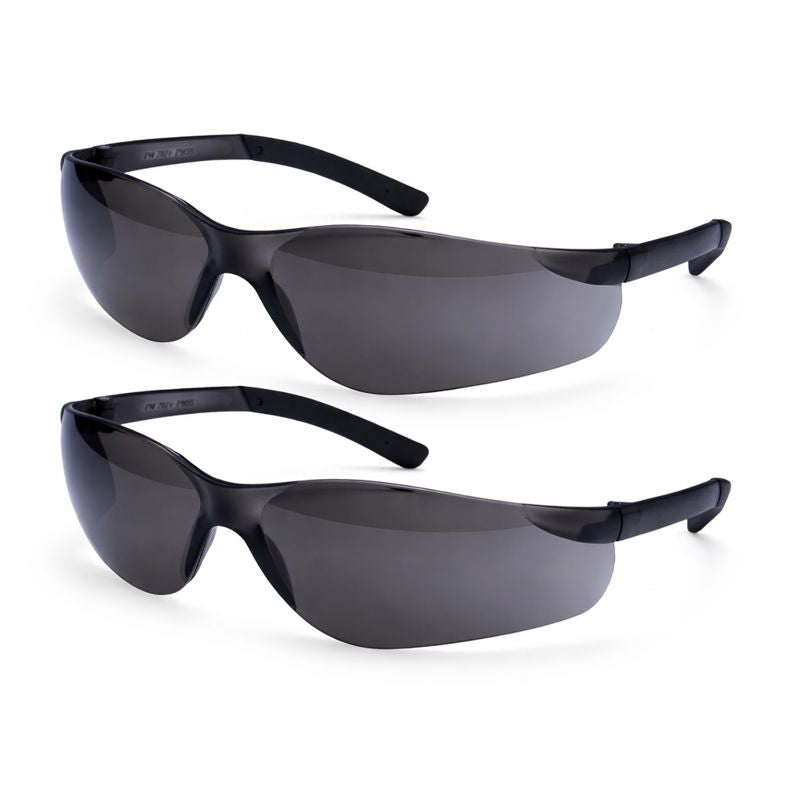 Schutzbrille Panorama Sicht im 2er Pack