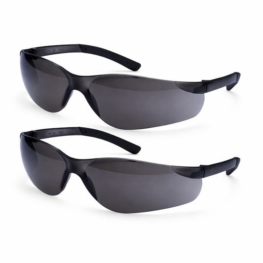 Schutzbrille Panorama Sicht im 2er Pack