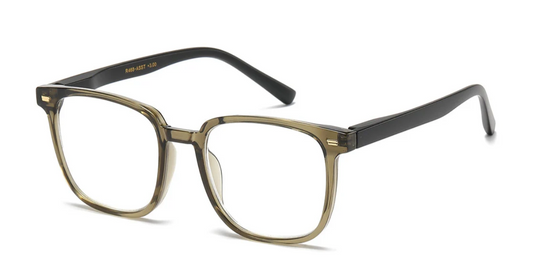 Lesebrille transparent grau +2.00 - +3.00