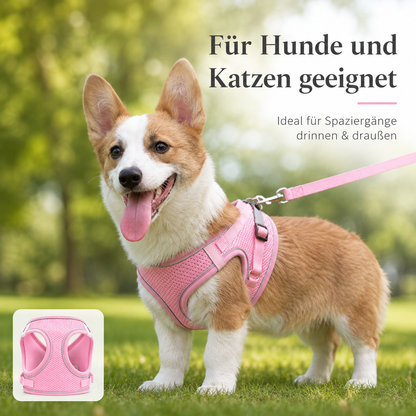 Hundegeschirr Pink M