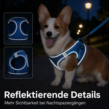 Hundegeschirr Blau M